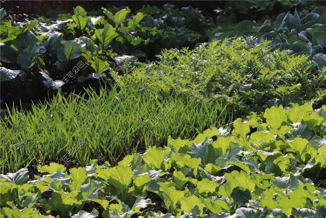 ũ���Խ�סլ