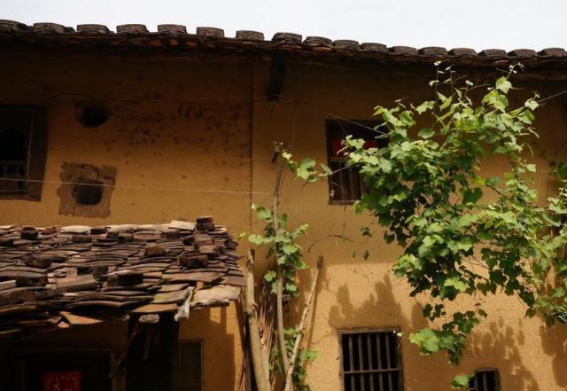 �����������������ͼ