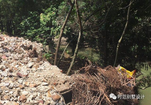 ����ŷʽ��������