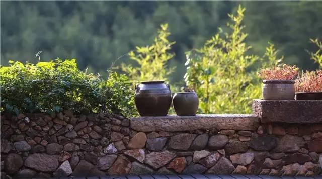 ŷʽ���㾭���Խ�סլ���