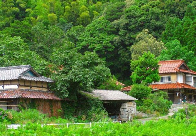 �����С����