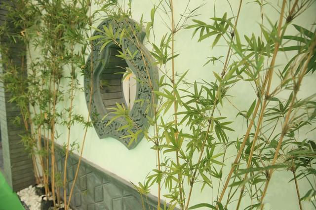 �ĺ�Ժ����