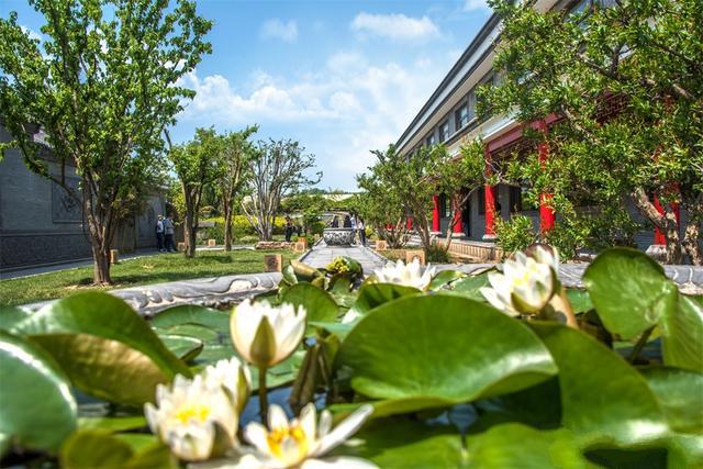 �ĺ�Ժ����