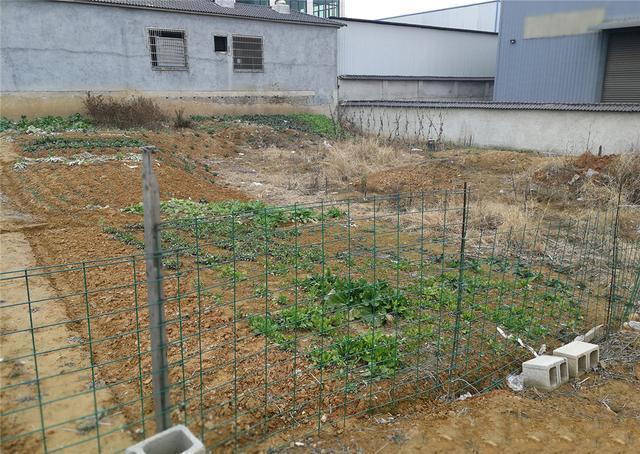 ũ���Խ�����