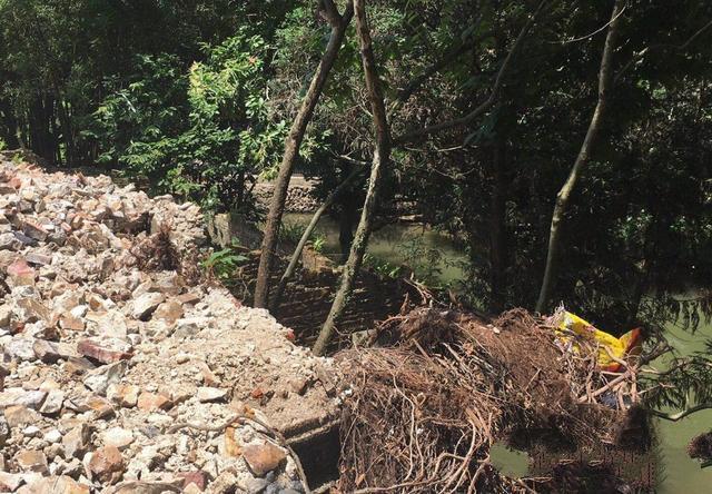 ���������ŷʽ����