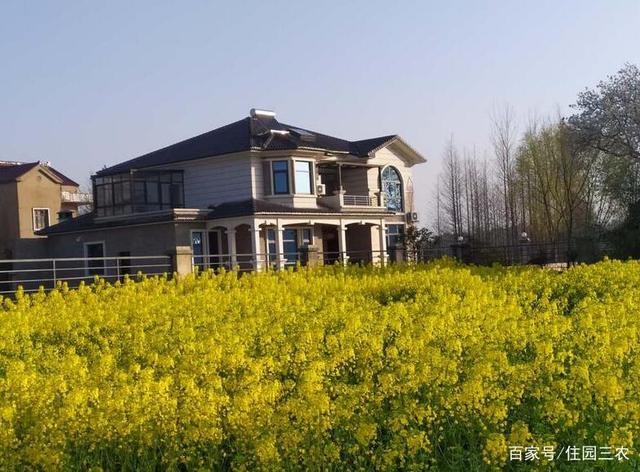 ũ���Խ��������