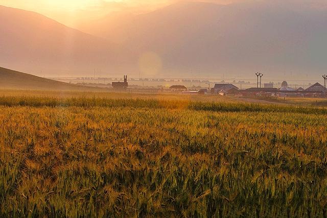 ����ŷʽũ���Խ������ͼ