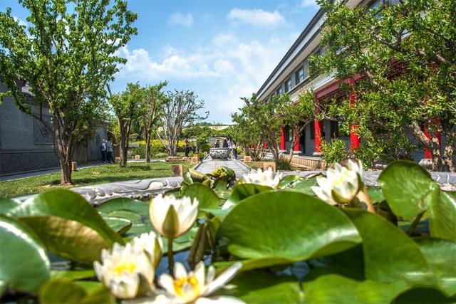 ��ʽ԰�����