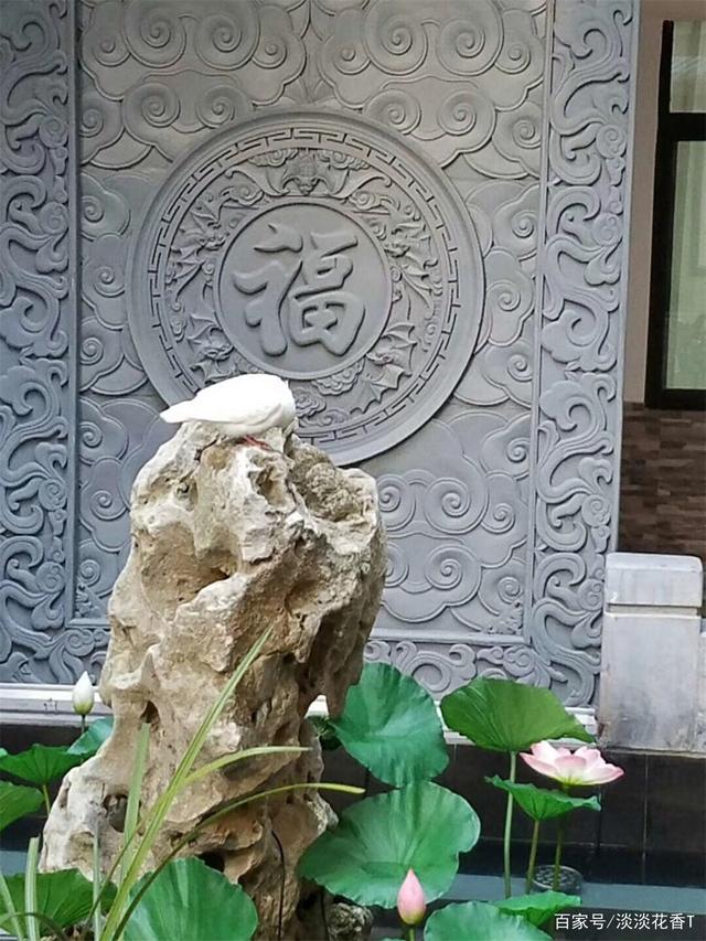 ��ʽ԰�����