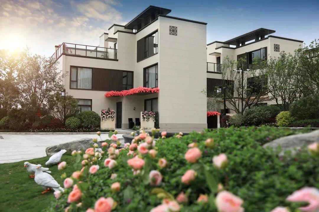 ���ű����͵��� �ĸ����Ӻã������ѡ���أ�