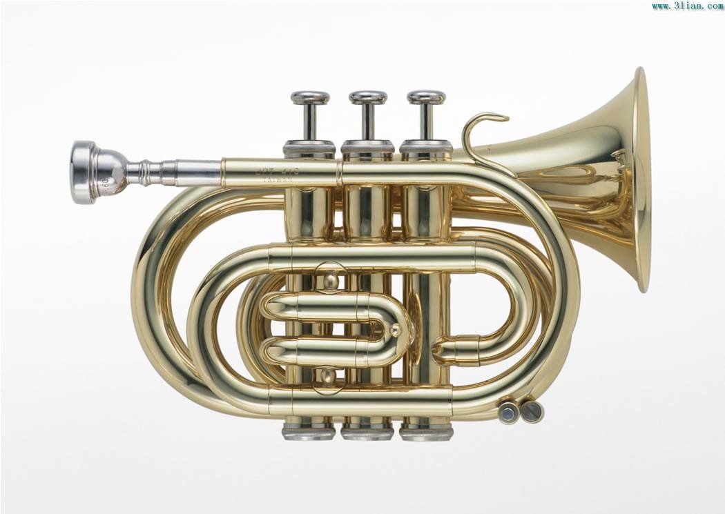 大号.jpeg 大号.jpeg