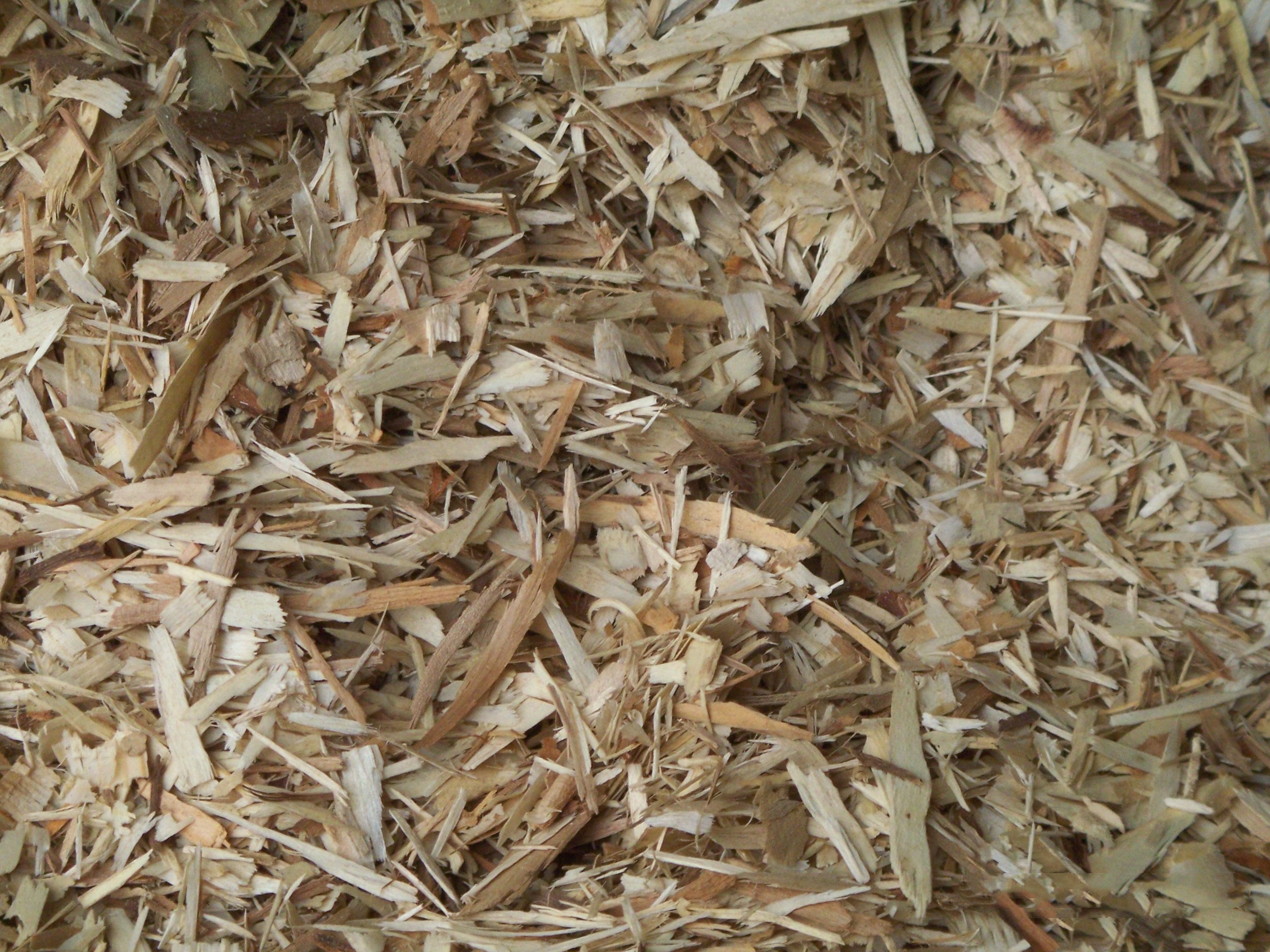 �ٻ�����ʲô��ȱ�� (1).jpg