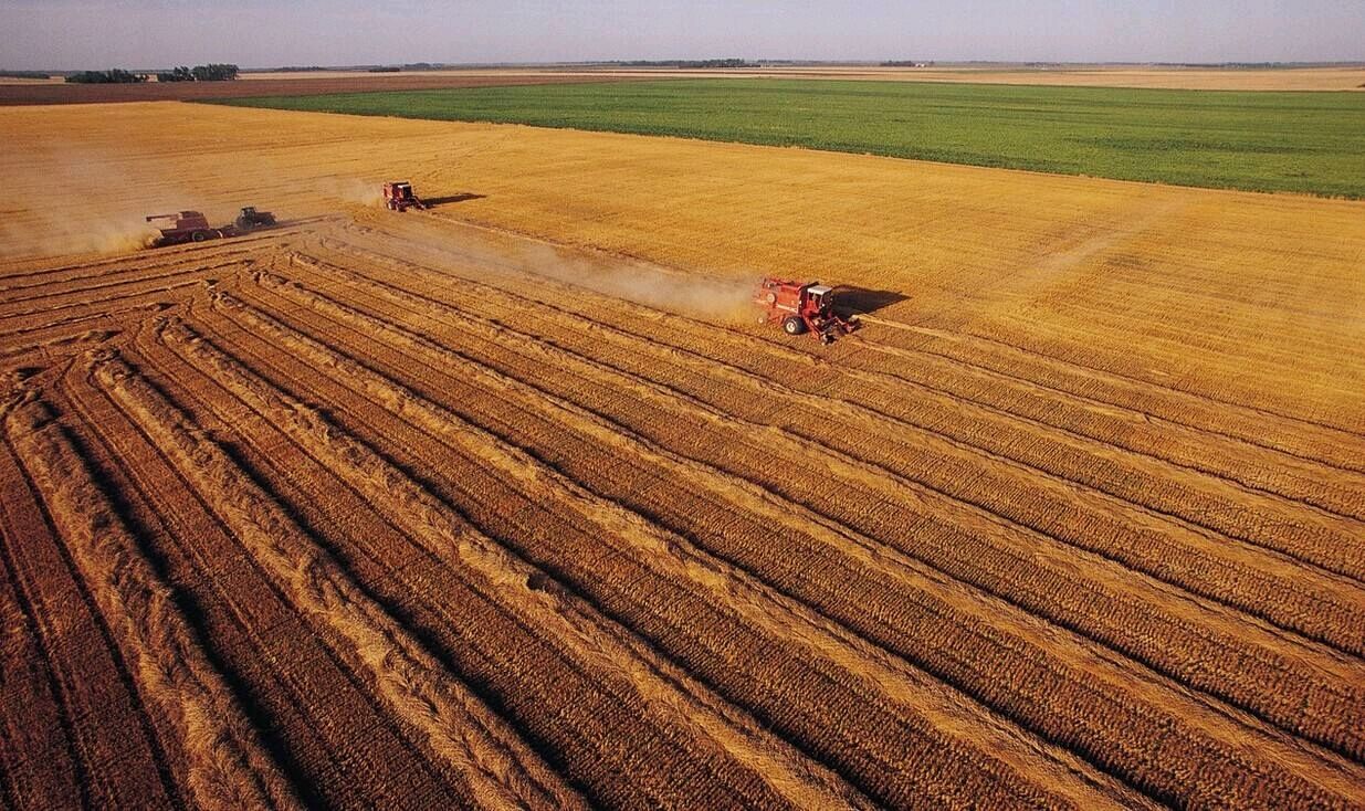 ������ת (1).jpeg