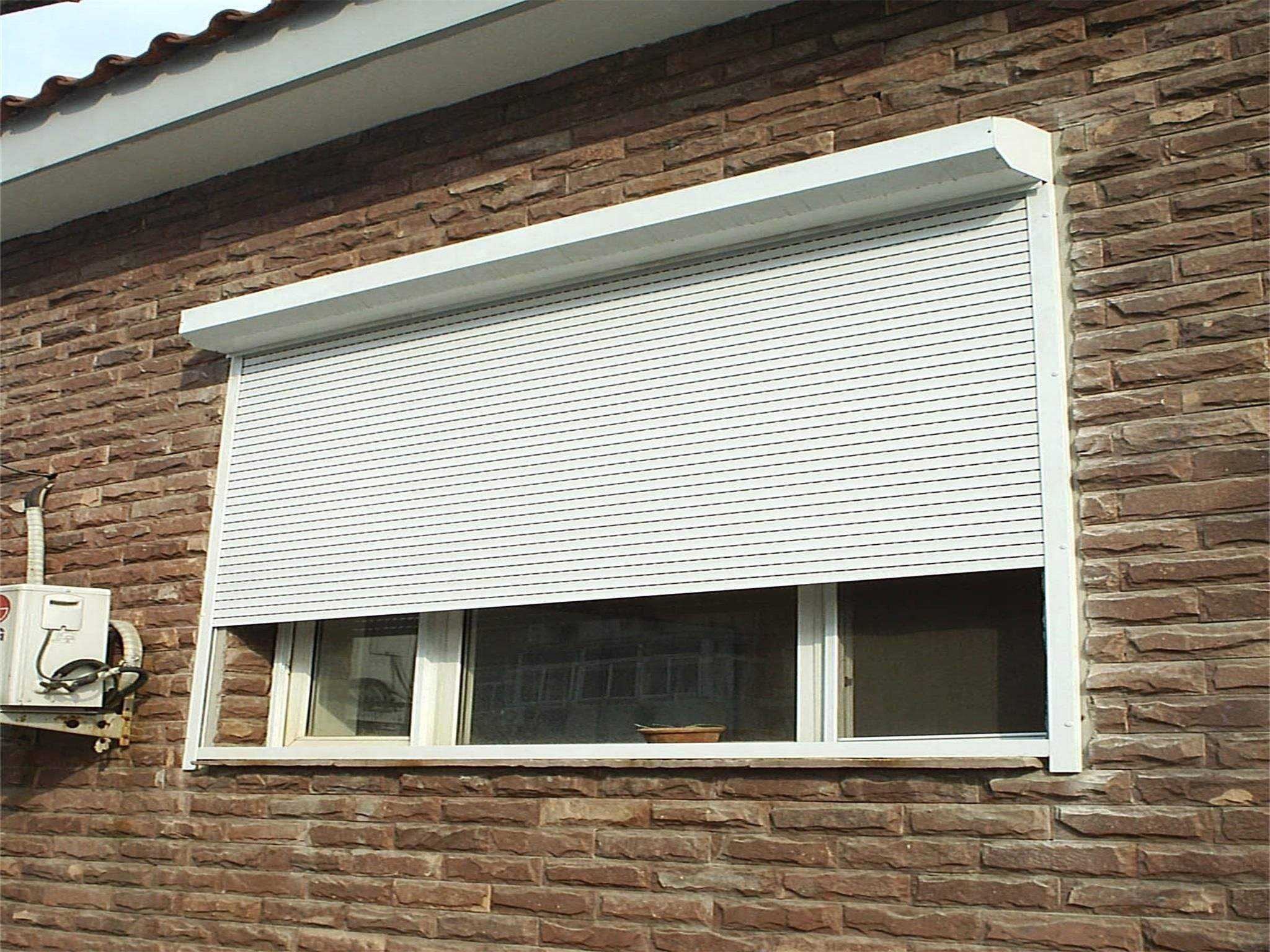 �������� (1).jpeg