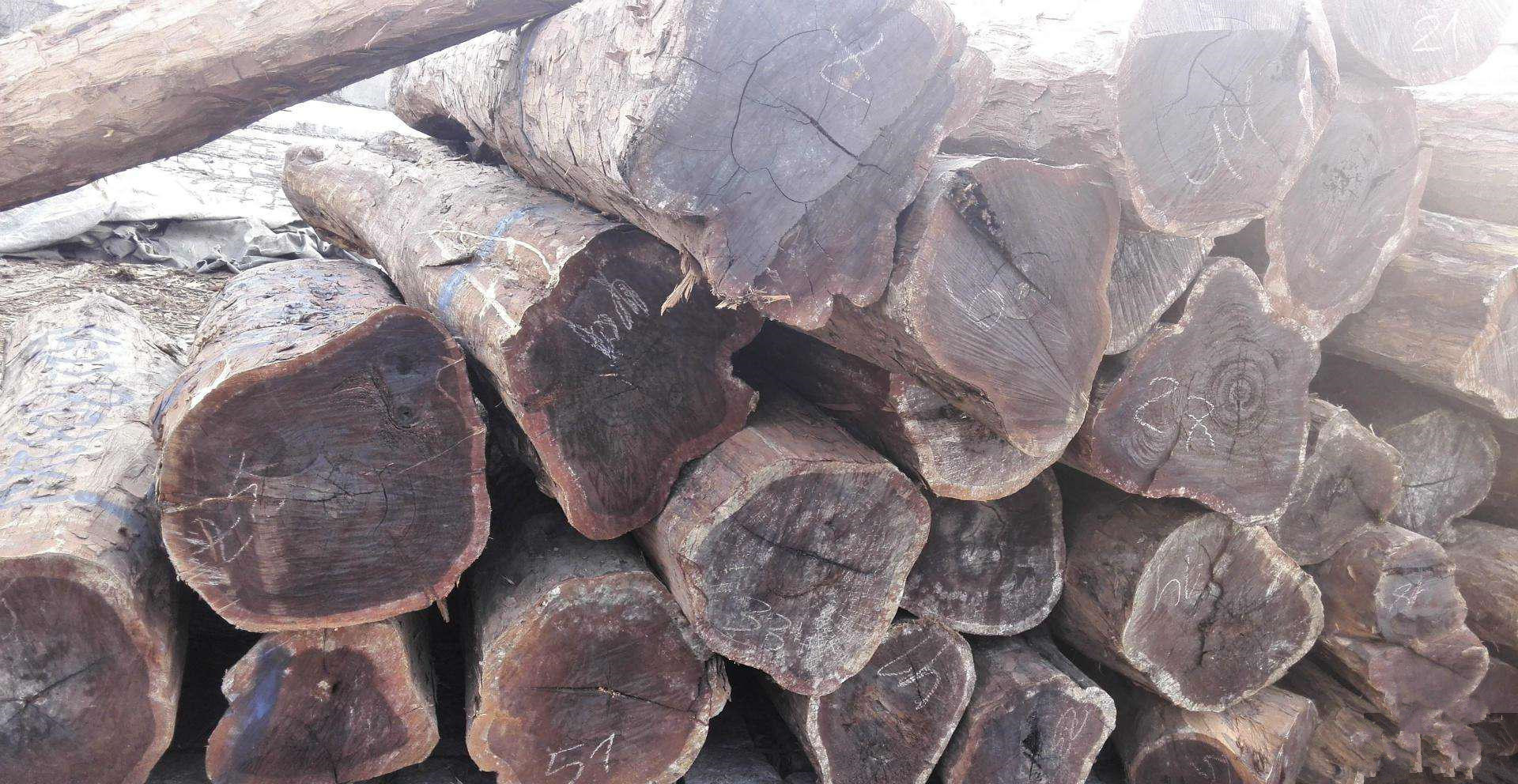 东非黑酸枝.jpg 东非黑酸枝.jpg