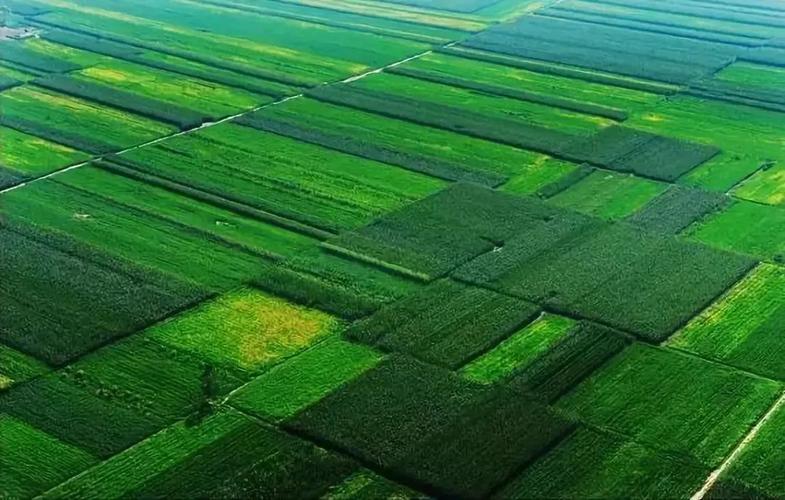 �������� (2).jpeg