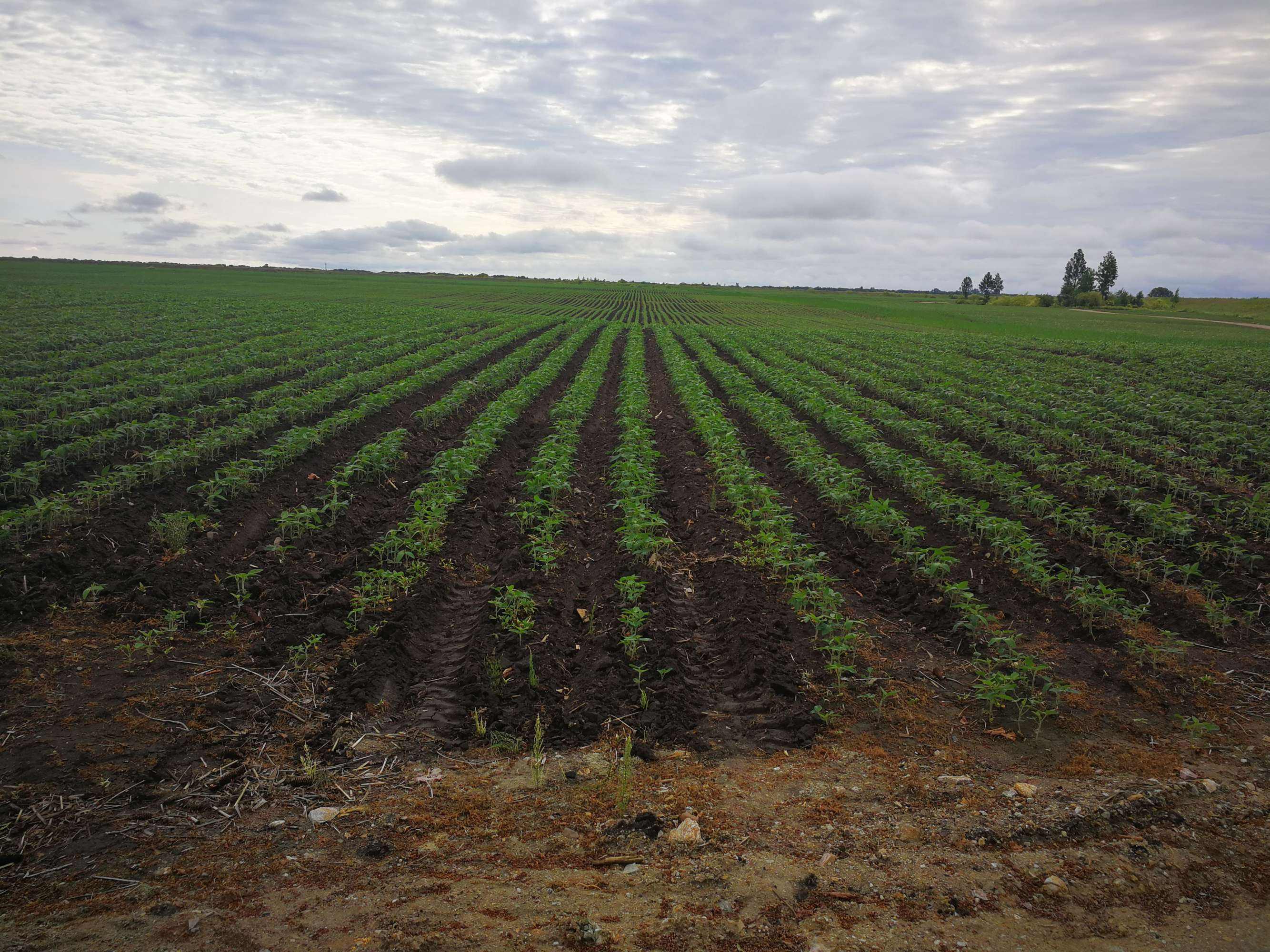 ����������ʲô���� (2).jpeg