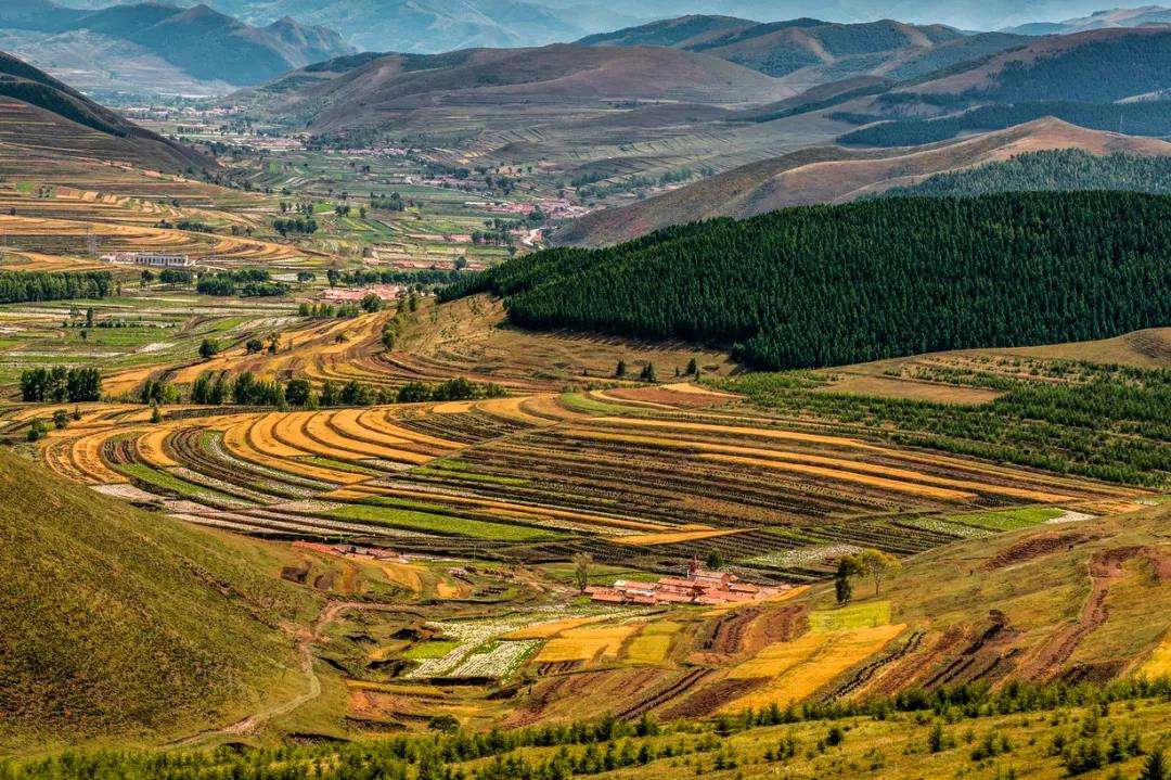 ����������Ҫע����Щ���� (1).jpeg