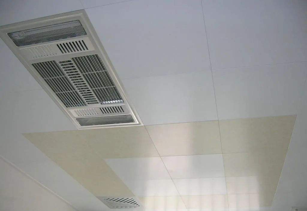 ������������ (1).jpeg