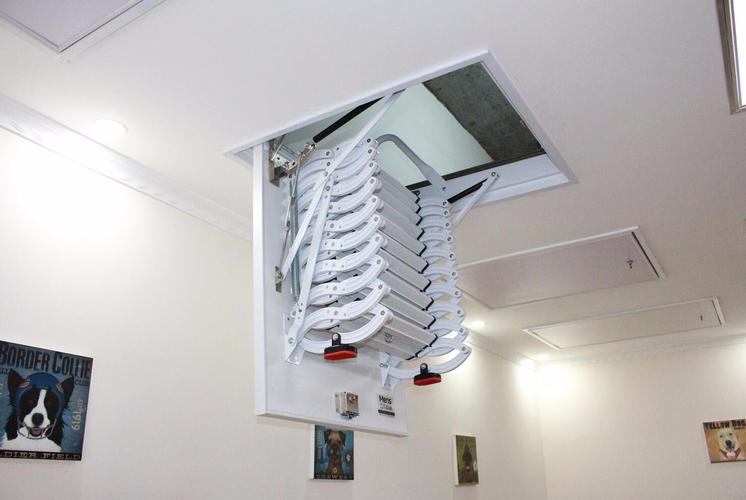 ��¥����¥�� (1).jpeg