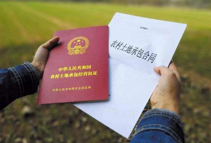 确权和没有确权有哪些区别_.jpeg 确权和没有确权有哪些区别_.jpeg