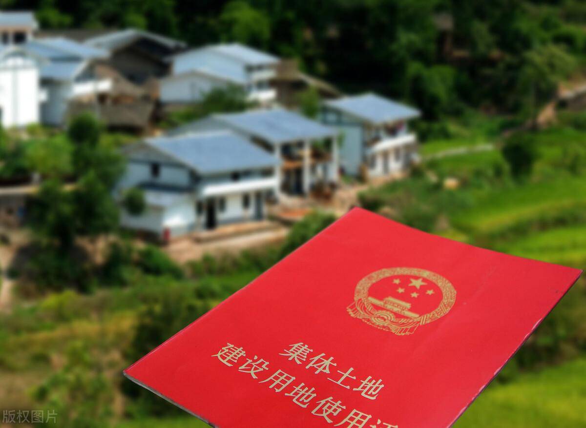 确权和没有确权有哪些区别_.jpeg 确权和没有确权有哪些区别_.jpeg