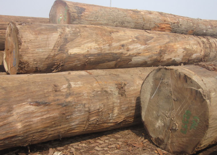 海棠木的历史.png 海棠木的历史.png