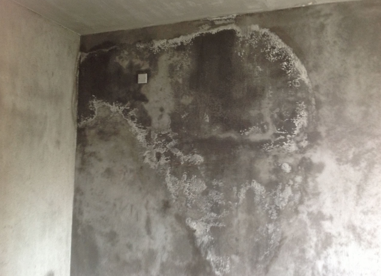 墙面反碱是什么原因.png 墙面反碱是什么原因.png