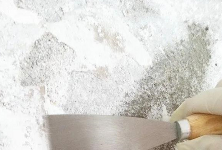 墙面返碱脱皮怎么处理.png 墙面返碱脱皮怎么处理.png