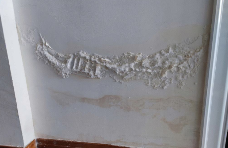 家里墙面泛碱掉渣翘皮应该怎么办.png 家里墙面泛碱掉渣翘皮应该怎么办.png