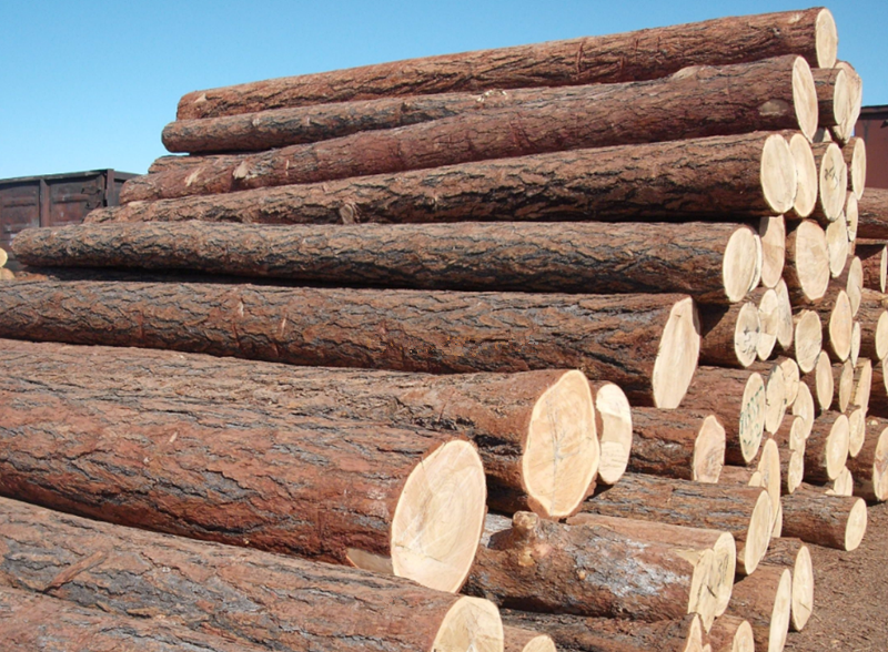 原木与实木有什么区别.png 原木与实木有什么区别.png