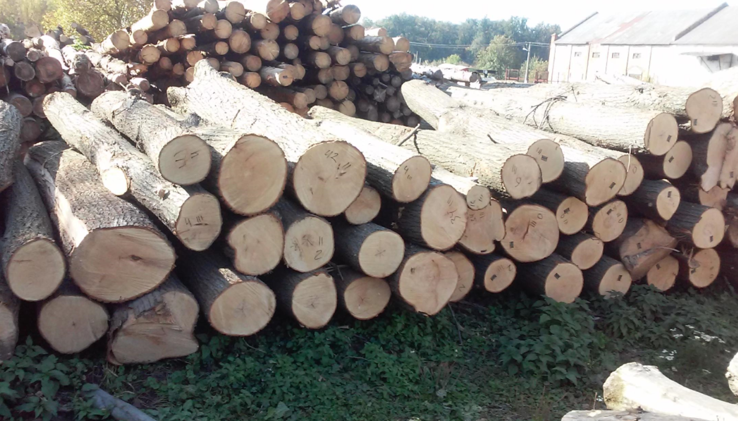 原木家具与实木家具的对比 (3).png 原木家具与实木家具的对比 (3).png