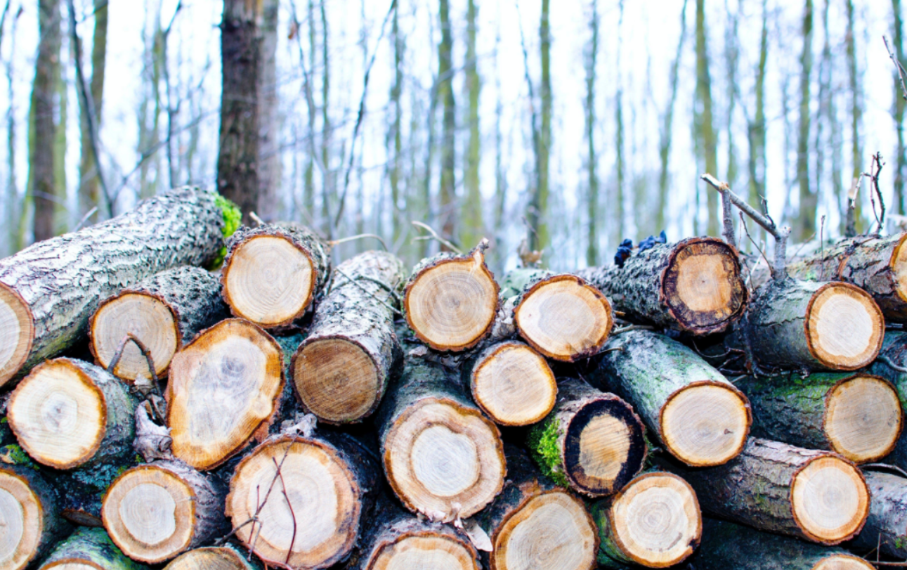 原木家具与实木家具的对比 (2).png 原木家具与实木家具的对比 (2).png