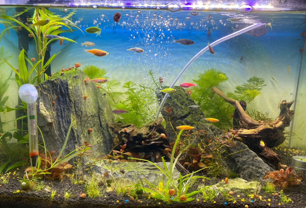 鱼缸滤材的摆放顺序.png 鱼缸滤材的摆放顺序.png