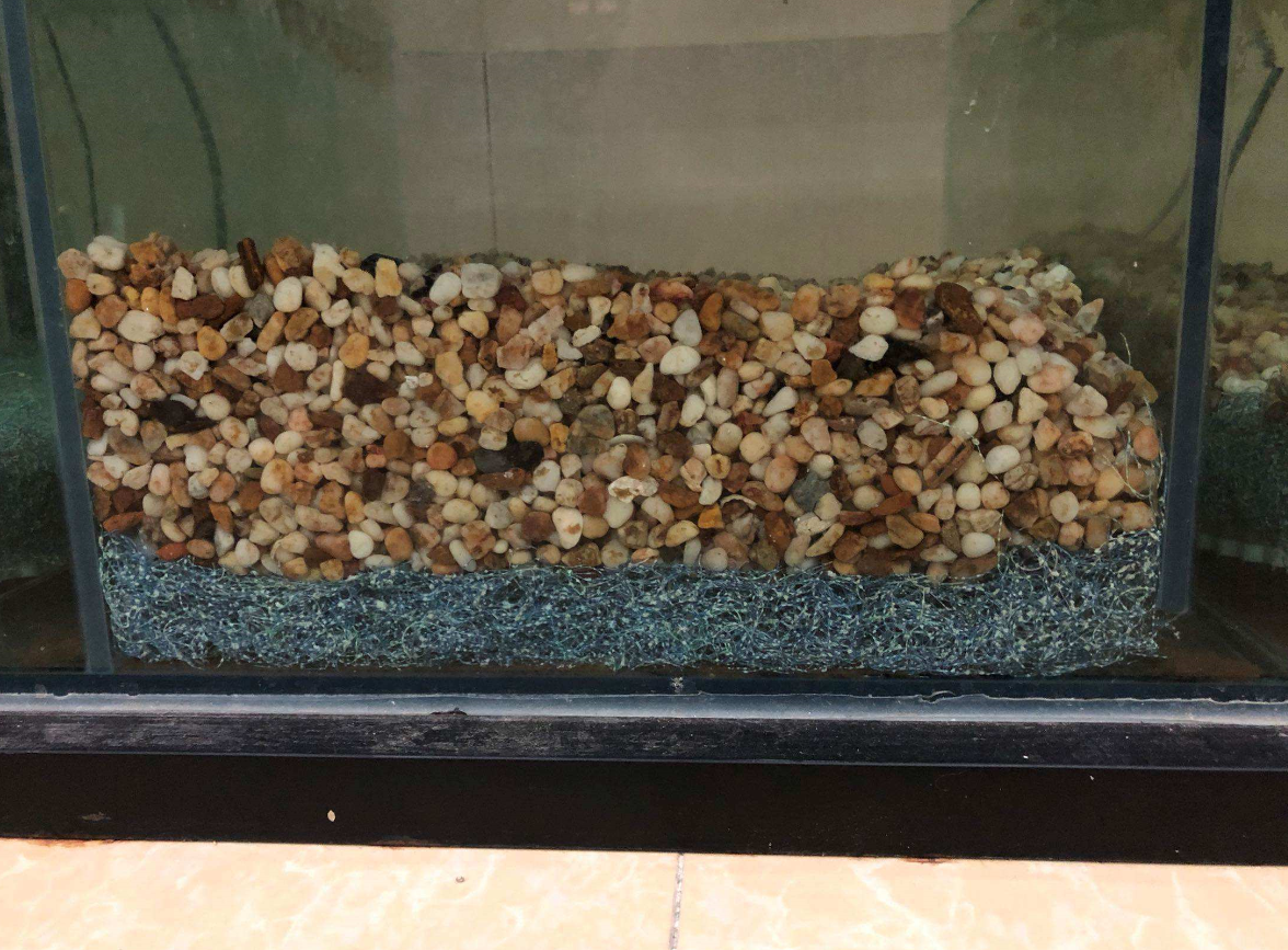 使用鱼缸滤材时候的注意事项.png 使用鱼缸滤材时候的注意事项.png