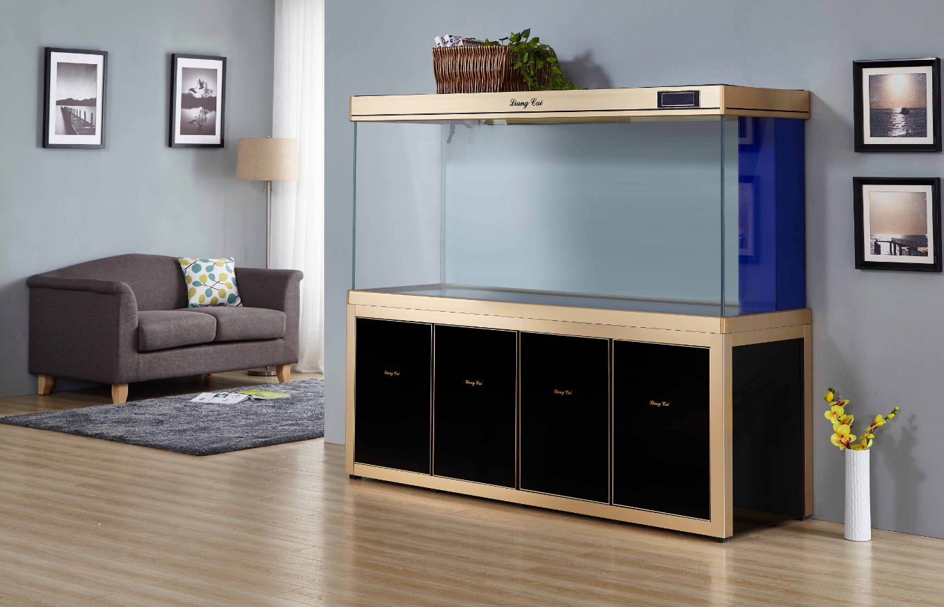 鱼缸过滤器材摆放顺序有讲究.png 鱼缸过滤器材摆放顺序有讲究.png