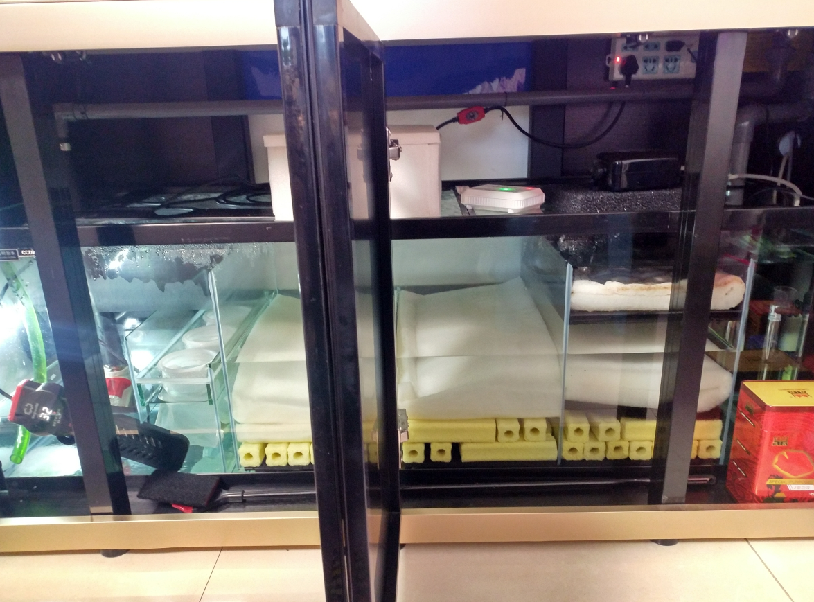 鱼缸过滤器材摆放顺序有讲究.png 鱼缸过滤器材摆放顺序有讲究.png