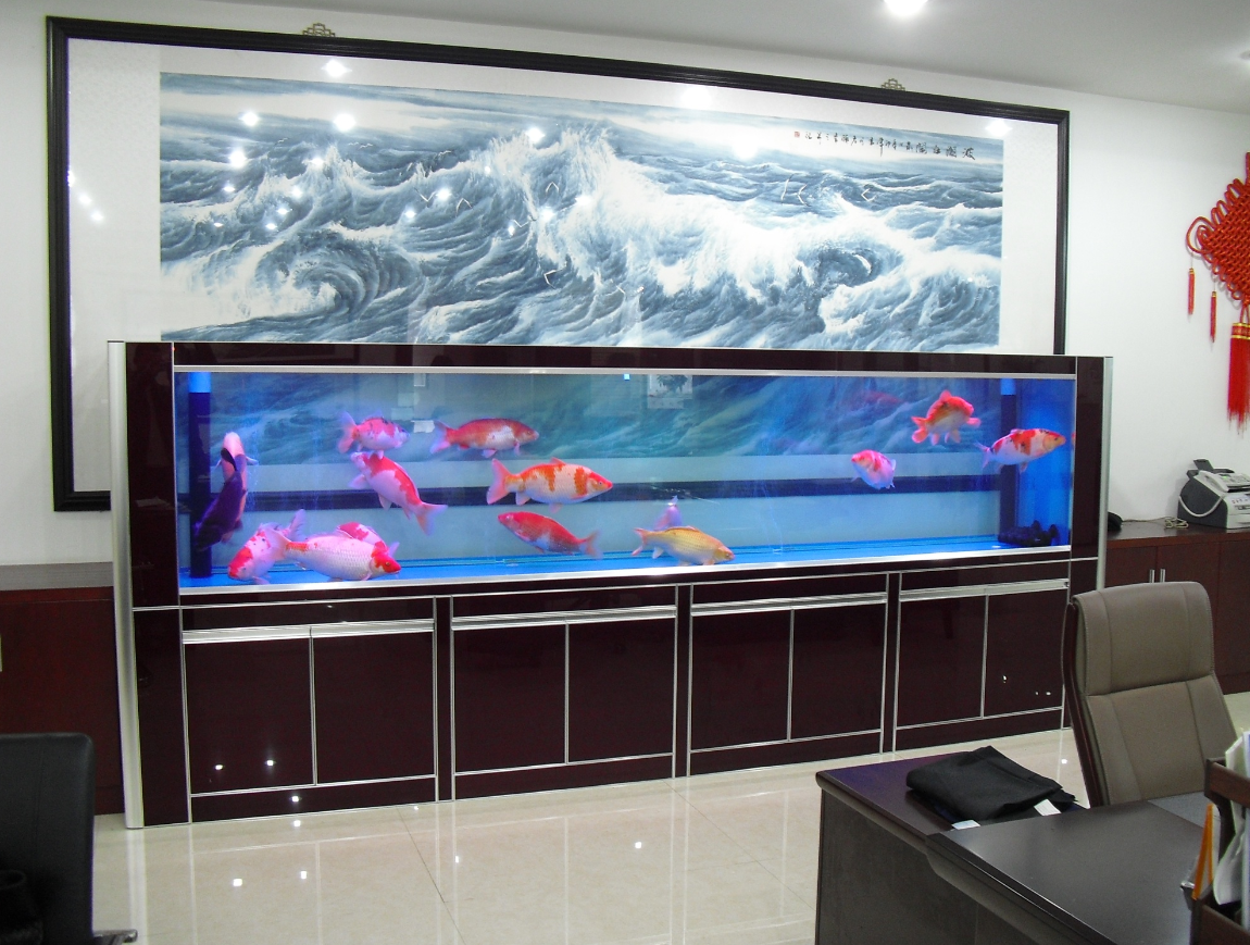 鱼缸滤材摆放有讲究.png 鱼缸滤材摆放有讲究.png