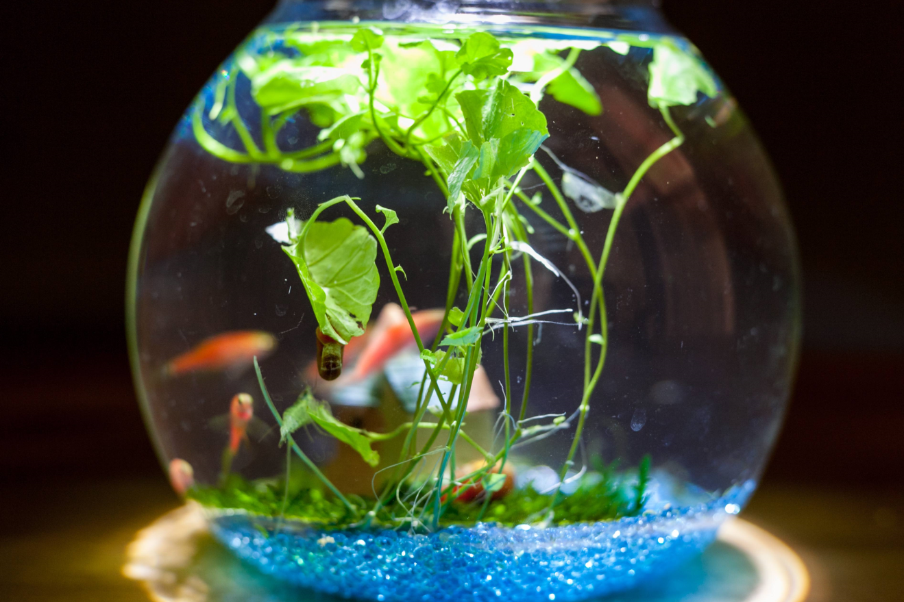 滤材的摆放顺序是怎么样的?.png 滤材的摆放顺序是怎么样的?.png