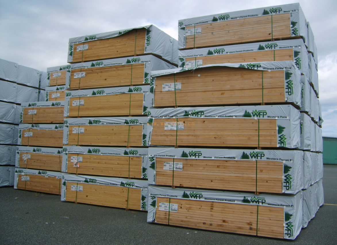 新西兰松的特性与优势.png 新西兰松的特性与优势.png