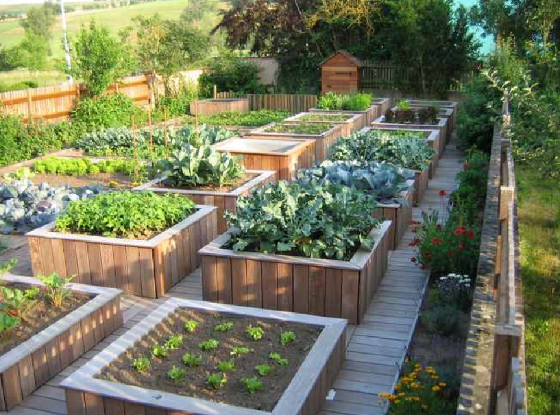 一楼小院装修设计.png 一楼小院装修设计.png