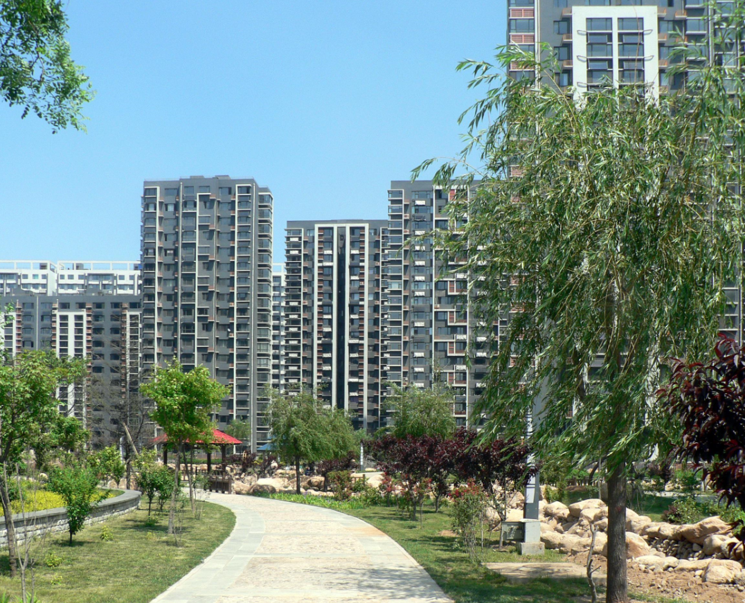 ʲô�����ý��� (1).png