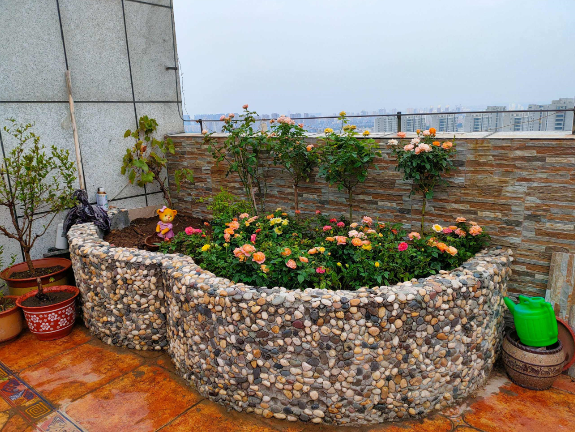 Ϊʲô��˵�ݶ���԰�� (1).png