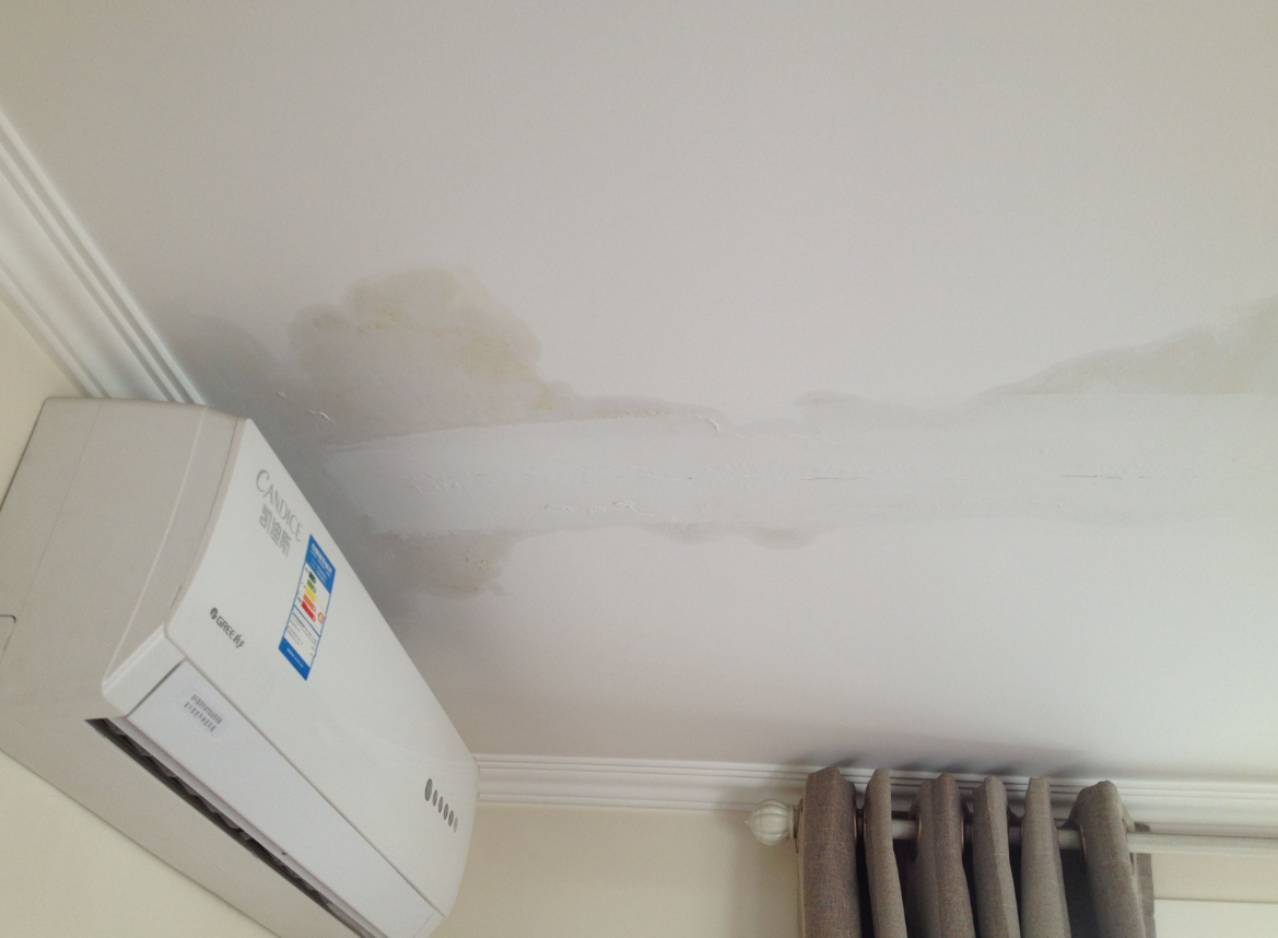 �ݶ���©��ѷ��� (2).png