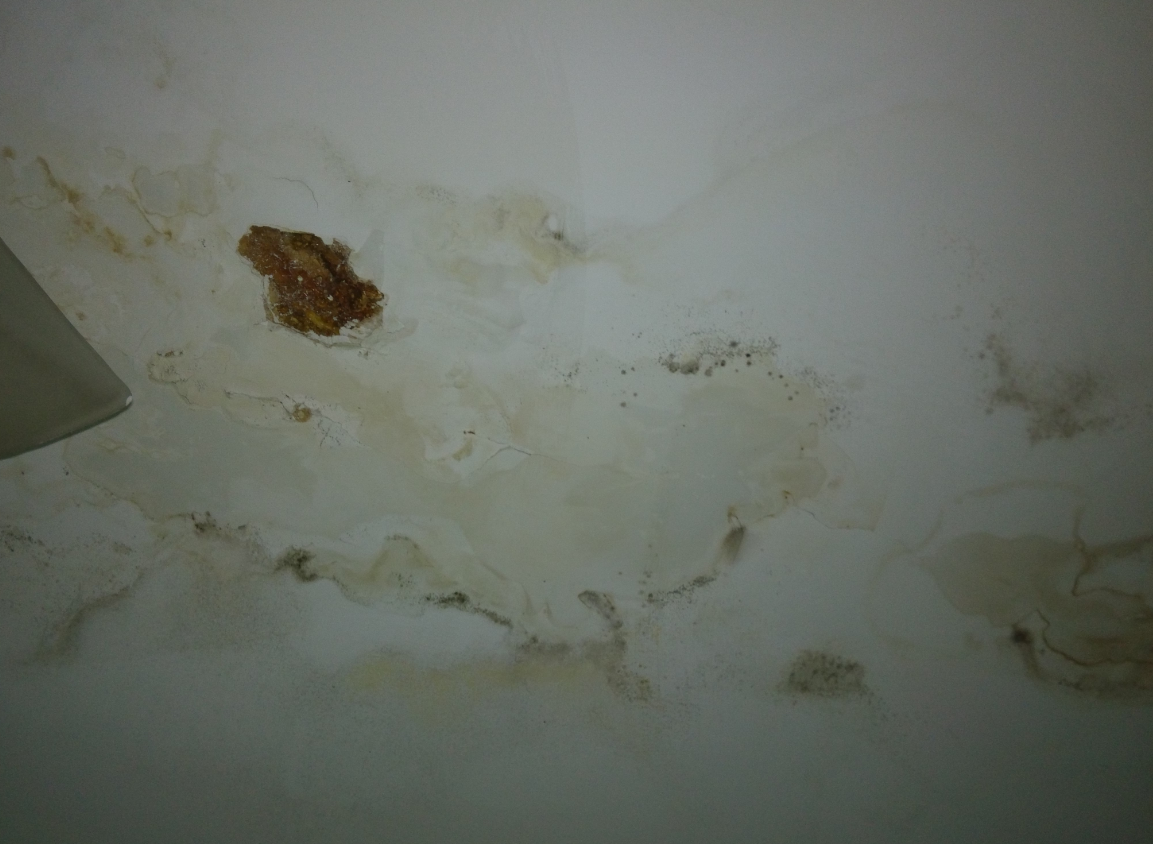 �ݶ���©��ѷ��� (3).png