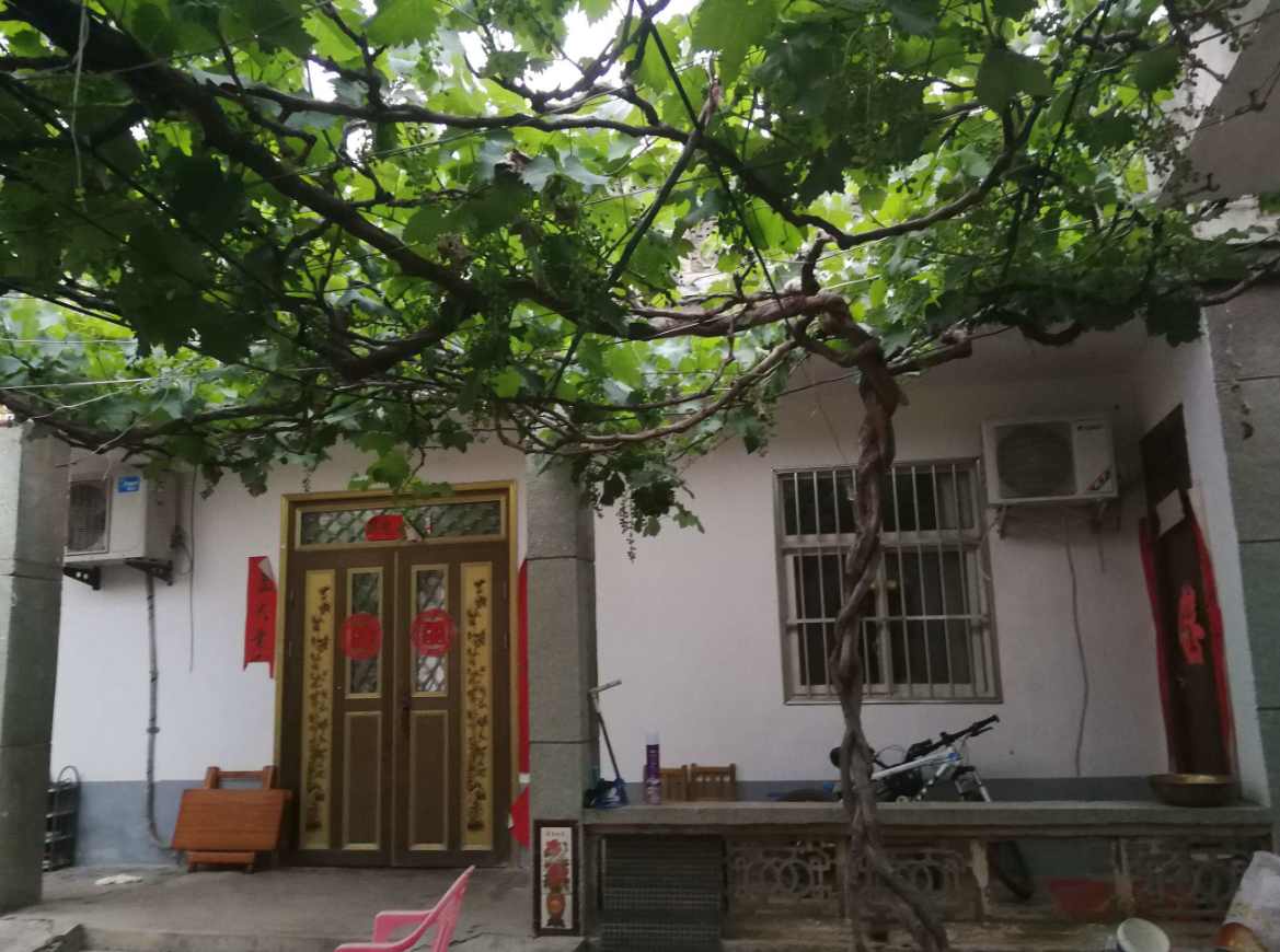 ΪʲôԺ���ﲻ����ֲ̫������� (2).png