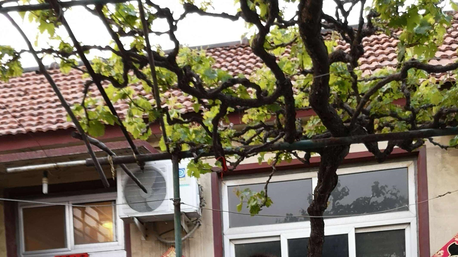 Ժ�������������ò��ã� (2).png