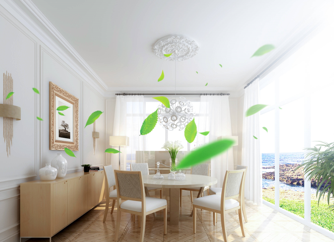 甲醛去除最快的方法.png 甲醛去除最快的方法.png