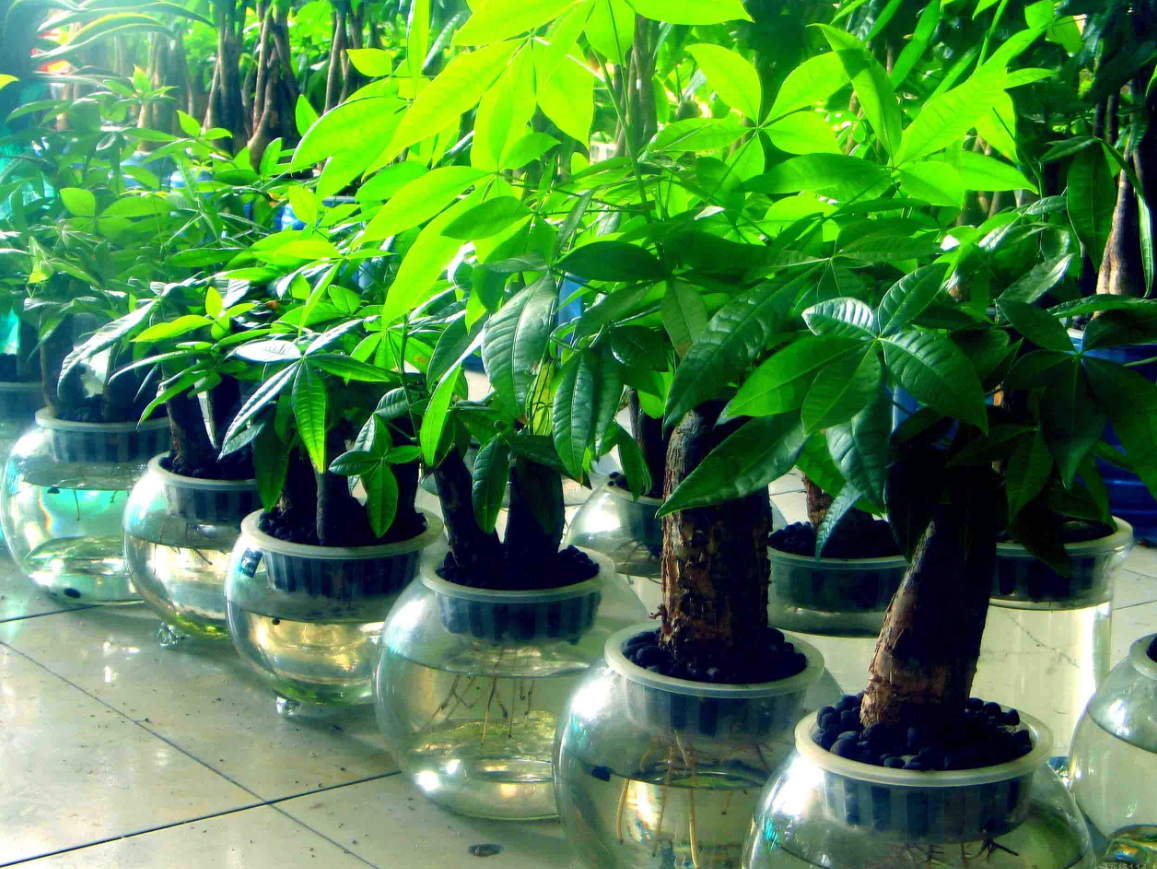 ��������ˮ�ڷ�����Ҫ (2).png