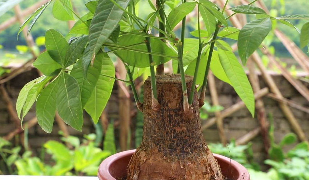 ��������ˮ�ڷ�����Ҫ �ɻ�Բ���.png